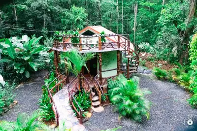 a tree house in the middle of a forest at El Valle Mineral Springs in San Ramón