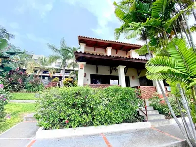 a house with a palm tree in front of it at Modern Condo with a Rooftop Patio in Liberia
