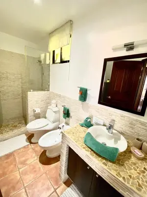 a bathroom with a sink and a toilet and a mirror at Modern Condo with a Rooftop Patio in Liberia