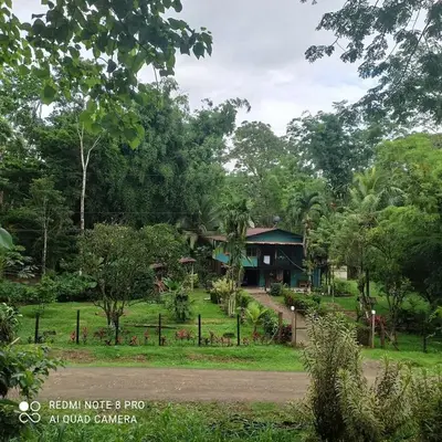 a house in the middle of a park at Finca Bambú Del Valle in Santa Clara