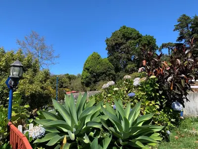 a garden with flowers and a street light at Cabaña Mamá Elia in Trinidad