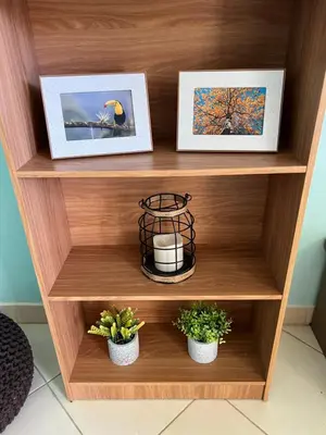 a shelf with two pictures and two potted plants at Coco Dream Escapes Ground unit in Coco