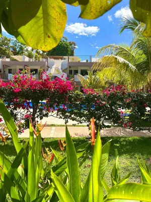 a bunch of pink flowers in a garden at Coco Dream Escapes Ground unit in Coco