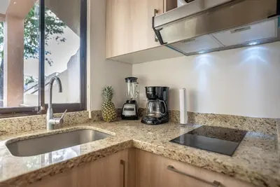 a kitchen counter with a sink and a blender at Parakeet Paradise 2nd floor Condo with Rooftop in Coco
