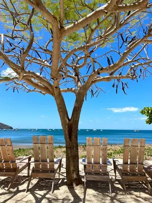 three lounge chairs under a tree on the beach at Ocean Breeze Condo in Coco