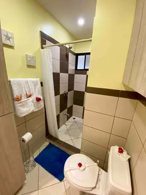 a small bathroom with a toilet and a shower at Sun and Waves Getaway in Coco