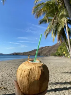 a person holding a coconut with a drink on a beach at Discounted - Hermosa Paradise Mins from beach in Playa Hermosa
