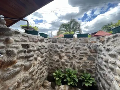 a stone wall with potted plants on it at Pitangus Lodge in Chachagua
