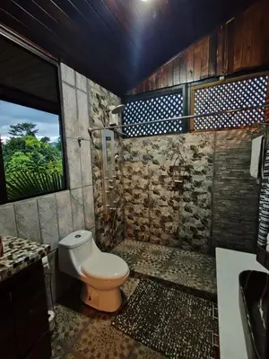 a bathroom with a toilet and a window at Pitangus Lodge in Chachagua