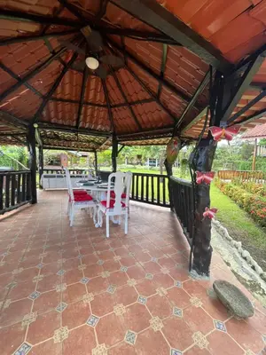 a patio with two chairs and a table with a roof at Pitangus Lodge in Chachagua