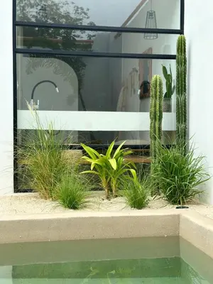 a garden with cacti and plants in front of a building at Las Guapas Villas Tamarindo in Tamarindo