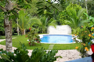 a small swimming pool in a garden with plants at Casa de la Naturaleza in Cóbano