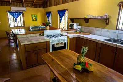 a kitchen with a table with a pineapple on it at Casa de la Naturaleza in Cóbano