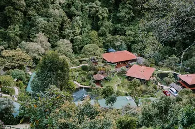 an overhead view of a house in a forest at Trogon Lodge in San Gerardo de Dota