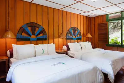 two beds in a room with wooden walls at Trogon Lodge in San Gerardo de Dota