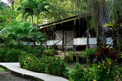 a house with benches and flowers in a garden at Mawamba Lodge in Tortuguero