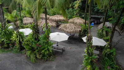 an overhead view of a group of umbrellas and chairs at Buena Vista Plus in Quepos