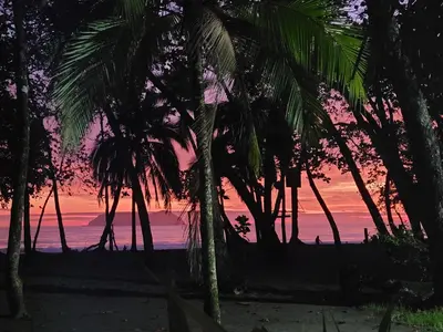 a group of palm trees on a beach with a sunset at Buena Vista Plus in Quepos