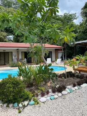 a swimming pool with a tree and a house at Casita Mar Y Posa in Potrero