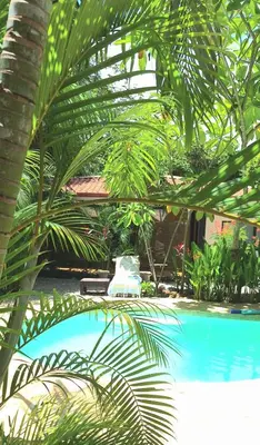 a view of a swimming pool with a palm tree at Casita Mar Y Posa in Potrero