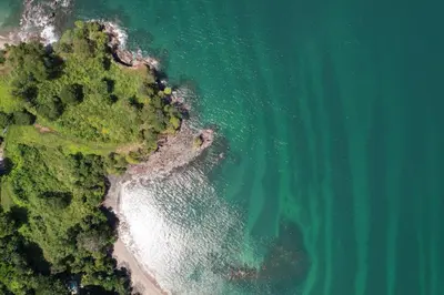 an aerial view of the beach and ocean at Plaza Mercado 22 At Las Catalinas in Playa Danta