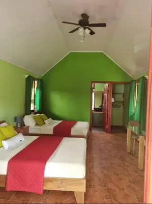 two beds in a room with green walls at Cabinas Tortuguero Sports Fishing in Tortuguero