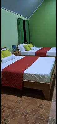two beds in a room with green walls at Cabinas Tortuguero Sports Fishing in Tortuguero
