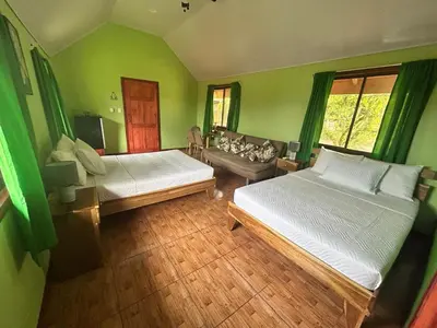a green room with two beds and a couch at Cabinas Tortuguero Sports Fishing in Tortuguero