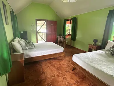 two beds in a room with green walls at Cabinas Tortuguero Sports Fishing in Tortuguero
