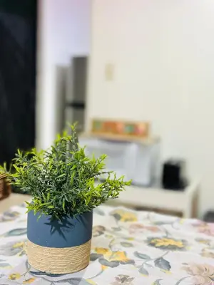 a plant in a blue pot sitting on a table at Mahale House - Manuel Antonio, Quepos in Quepos