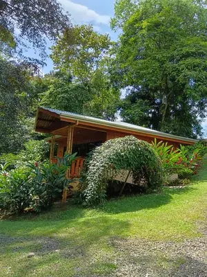 a small cabin with a porch in the grass at Gambas Lodge in Fortuna