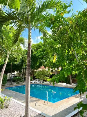 a palm tree in front of a swimming pool at Mariposa End Unit Loft in Coco