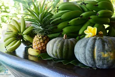 a bunch of bananas and pumpkins on a table at Vista Celestial in Uvita