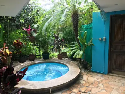 a swimming pool in a garden with plants at Tamarindo Village Hotel in Tamarindo