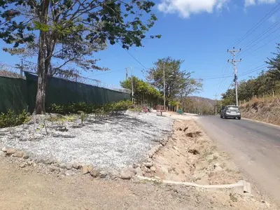 a dirt road with a tree on the side of the road at Glamping en Playa Potrero in Potrero