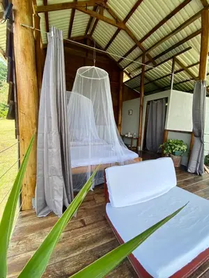 a bed in a wooden room with a net at Hacienda Monteclaro in Turrialba