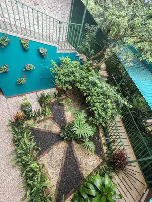an overhead view of a garden with plants at Mi Casa Su Casa Monteverde in Monteverde Costa Rica