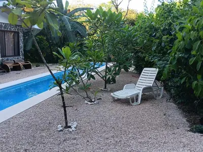 a white bench next to a tree next to a pool at Apartamento LAMBERT in Playa Pelada