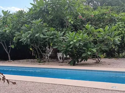 a swimming pool in front of trees and bushes at Apartamento LAMBERT in Playa Pelada
