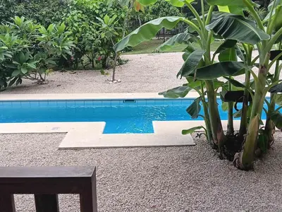 a pool with a table and a plant next to it at Apartamento LAMBERT in Playa Pelada