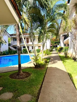 a walkway in front of a building with palm trees at Tropical Beach Second Floor Studio with Hill view in Coco
