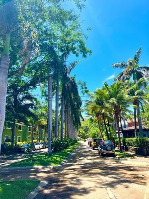 a street with palm trees and cars parked on the street at Tropical Beach Second Floor Studio with Hill view in Coco