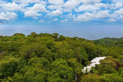 an aerial view of a forest of trees with a building at Colores del Viento - by Pura Villas in Uvita