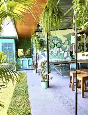 a patio with tables and potted plants and a mural at Pura Vibra Hostel in Fortuna