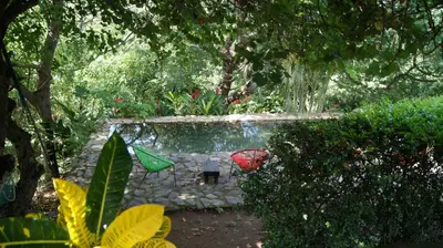 a garden with a pond with two colorful umbrellas at Casa Rural Aroma de Campo in Curubandé