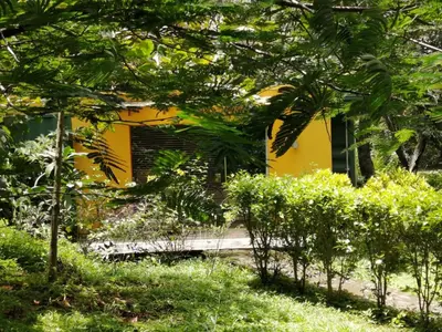 a yellow building with trees in front of it at Casa Rural Aroma de Campo in Curubandé