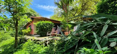 a small house in the middle of a forest at Casa Rural Aroma de Campo in Curubandé
