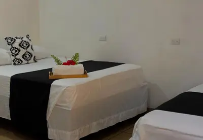 a room with two beds and a table with plants on it at Carey Lodging in Tortuguero