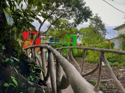 a wooden bridge in a garden with a tree at Carey Lodging in Tortuguero