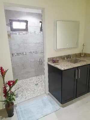 a bathroom with a shower with a sink and a mirror at TOP RATED - Stunning Lake Arenal 2 Bed Country House in Tronadora